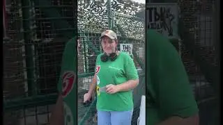 Поздравляем Вику с временным пропуском! Важный шаг в жизни начинающего волонтера 🥳