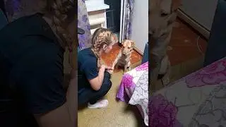 гулять идём
