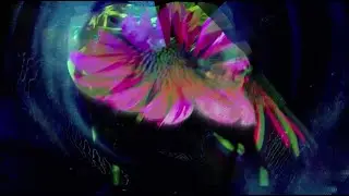 Elkhorn   Other Worlds   Ikarie XB