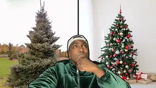 Real vs Fake Christmas Tree in 2022? MY THOUGHTS
