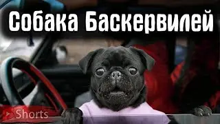 Вымогатель из 90ых. Заблокировал машину. #Shorts