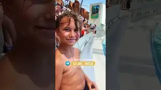 ШОУ ДЕЛЬФИНОВ В ЛЕГЕНДЕ. Подпишись на ТГ канал об отдыхе в Турции по ссылке в шапке профиля