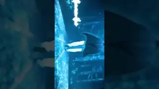 #animeshorts #anime #animeloverz #animeedit #shortsviral