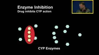 Biotransformation: Enzyme Inhibition and Induction