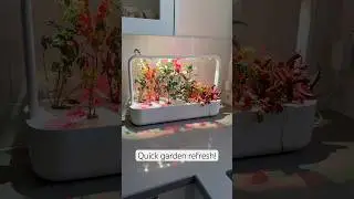 Refresh my garden with me! 🌱🌿🪴 #letseatplants #clickandgrow