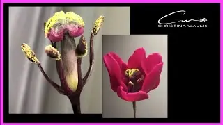 Тюльпан: Холодный Фарфор или Сахар, МК: Как Сделать Середину Пестик и Тычинки  из Полимерной Глины