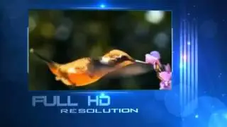STARSAT-SR 3030HD