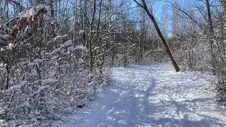 22 January 2022 - Winter in West Park, Sofia - Bulgaria