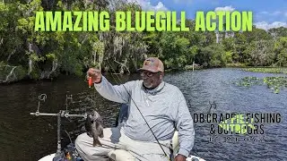 SUPER BLUEGILL FISHING ACTION ||  BLUEGILL FISHING IN FLORIDA