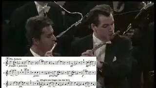 Johannes Brahms - Symphony No.1, Op.68 - solo French horn in C #JohannesBrahms  #Symphony
