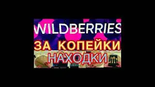 WILDBERRIES  ЗА КОПЕЙКИ❗️👍 ПРОСТО ЧУДО❗️👍НУ РАЗВЕ ЭТО НЕ ЧУДО? КУПИЛА РОБОТ ❗️       МОЕТ ОКНА❗️👍