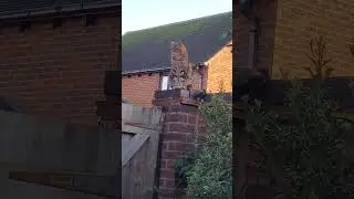 Bert's nemesis watches on from the wall