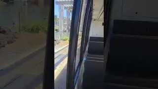 Tram Ride Hilton Hawaiian Village Waikiki Beach Resort #bigislandhawaii #waikiki #tram #travel #vlog