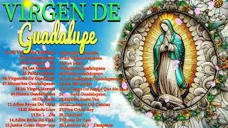Cántos a la virgen de Guadalupe🙏Canciones a la Virgen De Guadalupe💖La Virgen De Guadalupe💖