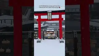 7 Things to Do & Eat in Hakodate, Hokkaido Japan🇯🇵
