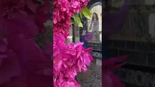 Dıyarbakır