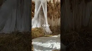 ИДЕИ ФОТОЗОН: ПЕСОК, ПАРЯЩИЕ ЦВЕТЫ, ТКАНИ, СЕНО!  