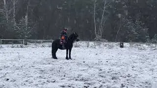 Прекрасная снежная погода❄️