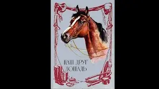 Old Soviet Postcards 