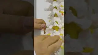 Marble Clinic: Orthopedic