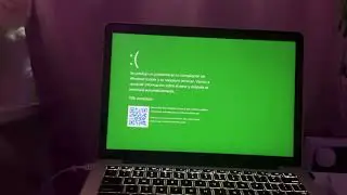 Frog jumping and laughing Has GSOD