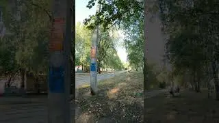Лето 😊