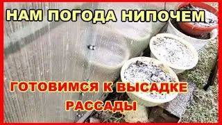 ВОТ ТАКОЙ ПЕРВОМАЙ//РОЗЫ НЕ ПЕРЕЗИМОВАЛИ//ГОТОВИМСЯ К ВЫСАДКЕ РАССАДЫ