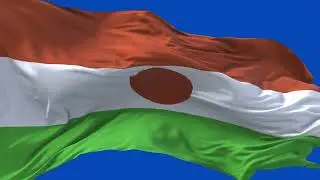 🚩Niger  Flag Waving  | GREEN SCREEN & CHROMA MATTE🚩