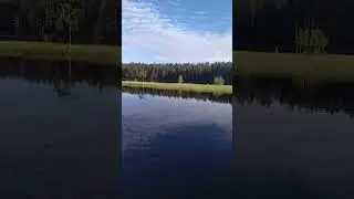Оз. Жмуркино #fishing #carp #рыбалка #carpfishing #nature #fish #карп #feeder #wildlife