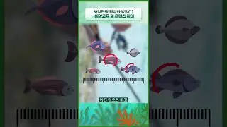 🌊2024년 해양환경 지식나눔 3회차 온라인 특강 다시보기🌊