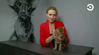 Ушки на макушке с Анной Рудаковой, выпуск 30
