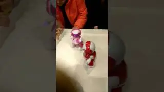 Оригинальные роботы