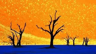 ИЛЛЮЗИИ ПРИРОДЫ КОТОРЫЕ ОБМАНУТ ВАШ МОЗГ