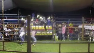Toros en Tetelilla 2019
