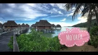 Mo'orea, French Polynesia 2016 | Vlog