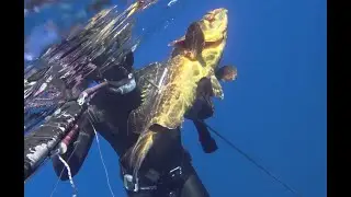 Pesca in Apnea - Tecniche varie e schemi d'azione