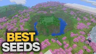 BEST Minecraft Seeds of 2026! (Java & Bedrock)