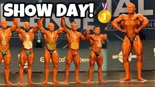 NPC SWEDEN - SHOW DAY!