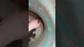 колеса от Енисея на мтз
