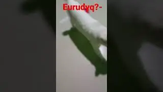 sjwieyxiw u,😂😂😂😂😂