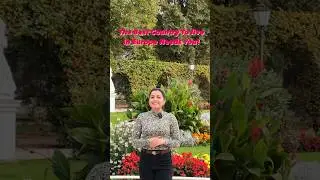 Move to the Netherlands | Move to Europe | Work in Netherlands | India to Netherlands 