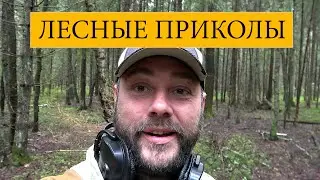 Лесные приколы. Кто знает что это?