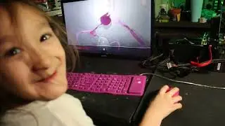 The under 69$ pc build