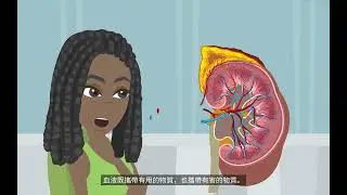高小科學教育 第七級：動植物的內部輸送
