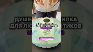 Моя супер находка для котиков на ВБ! 