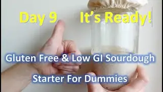 👍 Day Nine👍 The Final Feed +7  Top Tips - How To Make Gluten Free Low GI Sourdough Starter #teemars