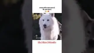 कौन अपना है ऐसे पता चलता है... #life #motivation #viralvideo #shorts #shortsfeed #shortvideos