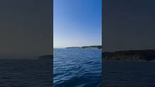 Чёрное море 08.08.2023 