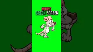 Cartoon Mouse Running Green Screen Animation Video