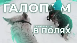 ПРОВАЛИЛИСЬ ПОД СНЕГ?! | 11 февраля 2024 | GoPro